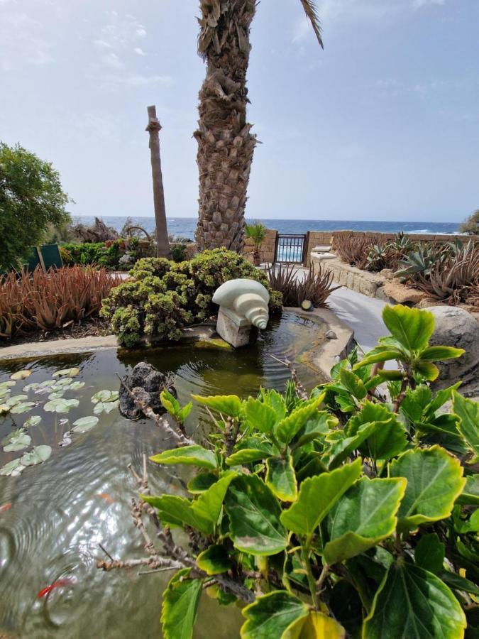 Little Paradise In El Medano 2 Granadilla De Abona Ngoại thất bức ảnh